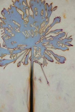 Artprint_blueflower